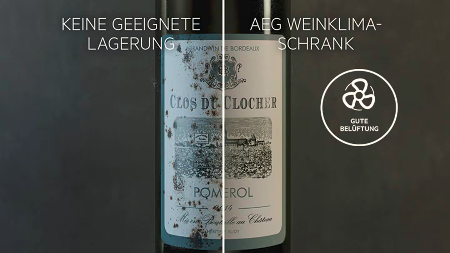 Weinflasche, an der die richtige Belüftung im Weinklimaschrank gezeigt wird. 
